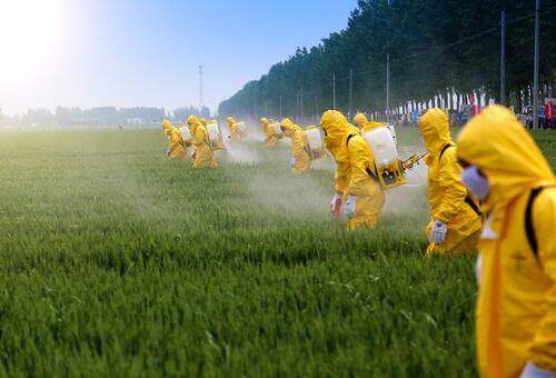 Effetti dei pesticidi sul cervello