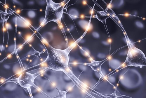 Connessionismo e reti neurali