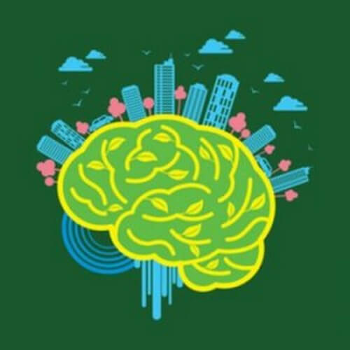 Neuroarchitettura: ambiente e cervello