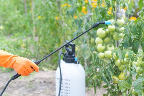 Uso dei pesticidi in agricoltura