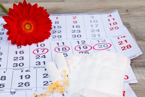 Fasi del ciclo segnate sul calendario