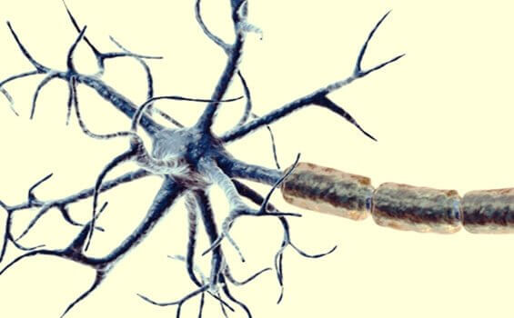 I nocicettori garantiscono la sopravvivenza