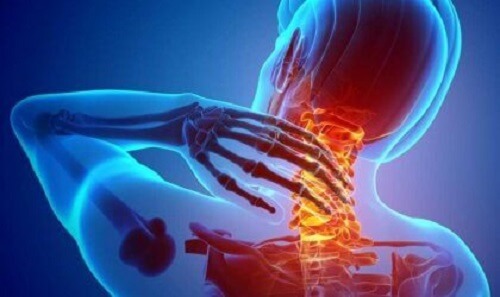 Nocicettori: i recettori del dolore