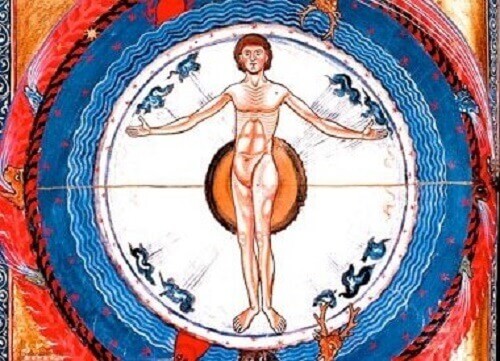 Rappresentazione anatomia umana