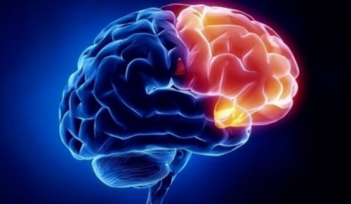 Area cerebrale della colpevolezza