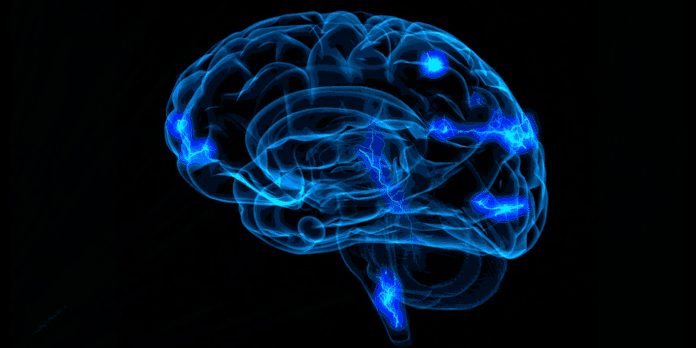 Cervello e neuroeducazione