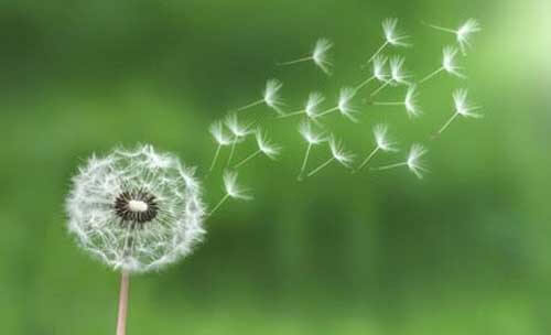 Legge del minimo sforzo per gestire lo stress