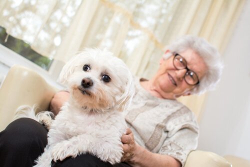 Pet therapy - donna anziana con cane in braccio