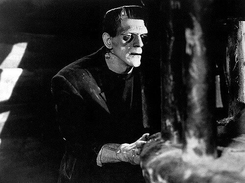 Il mostro di Frankenstein