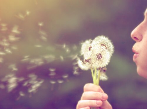 Chi non si aspetta nulla vive libero