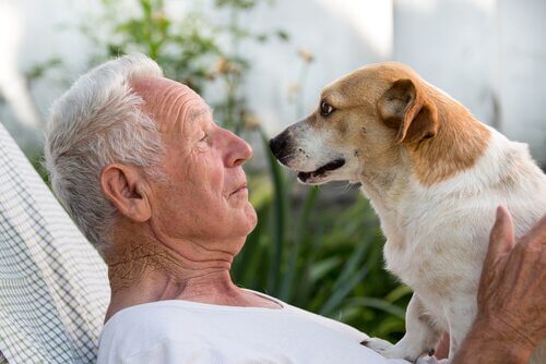 Uomo anziano e cane