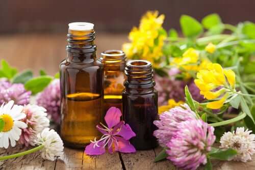 Aromaterapia, il meraviglioso potere degli odori