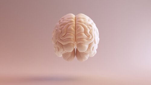 Cervello storia delle neuroscienze
