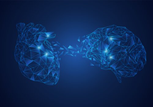 Cuore e cervello
