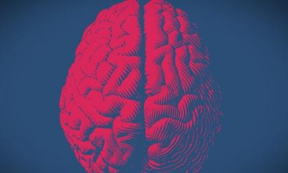 Rappresentazione del cervello umano