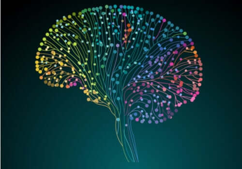 Human Connectome Project: alla scoperta del nostro cervello