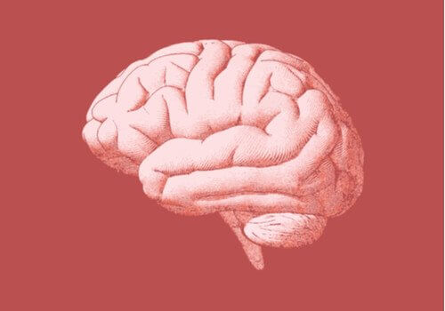 Cervello e neurobiologia della dipendenza