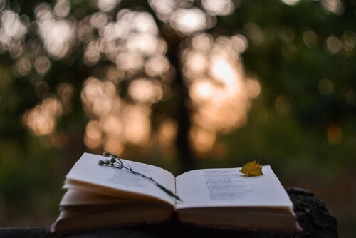 Libro aperto con le migliori citazioni di Balzac