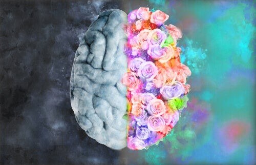 Neuroestetica: capire l'arte con la scienza