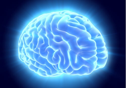 Cervello illuminato per il progetto conettoma umano