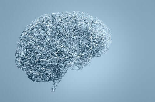 Cervello umano in 3D