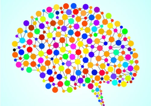 Progetto Connettoma Umano: le 97 aree del cervello sconosciute