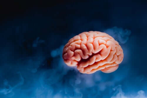 Modello del cervello su fondo scuro