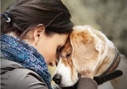 Pet therapy per le persone con disturbo borderline