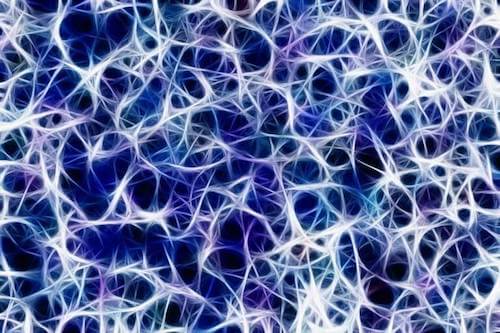 Connessioni delle sinapsi dei neuroni