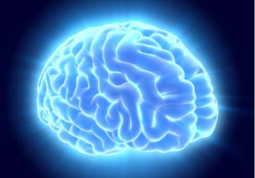 Cervello di colore blu