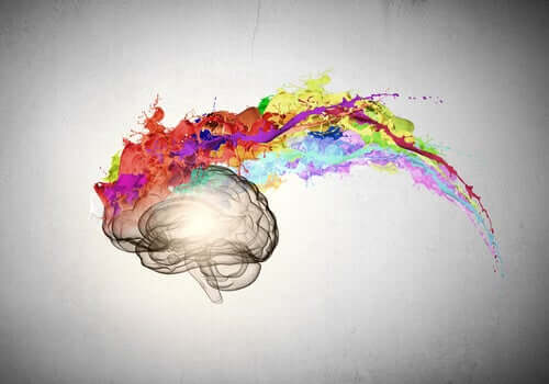 Disegno colorato del cervello