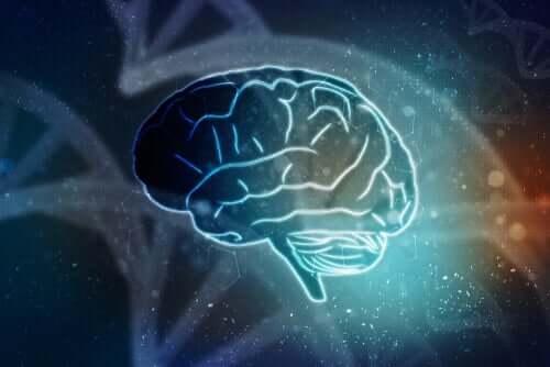 Il cervello può vivere senza il corpo?