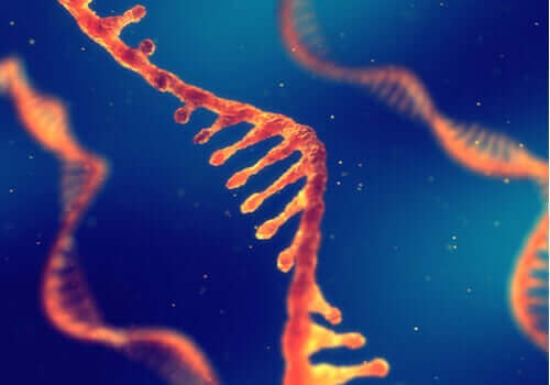 DNA filamento