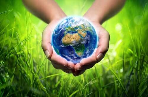 Intelligenza ecologica e sostenibilità