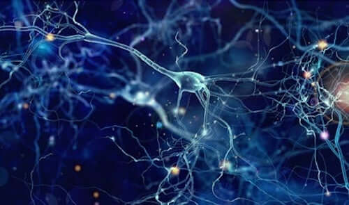 Reti di neuroni