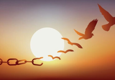 La Liberta Provvisoria Obblighi E Condizioni La Mente E Meravigliosa