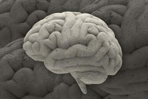 Fenomeni affascinanti di neurobiologia