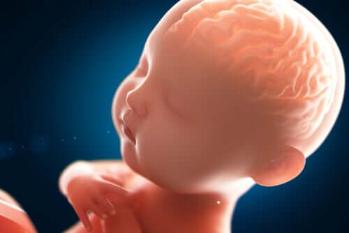 Come funziona la mente del neonato?