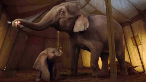 Scena remake Dumbo