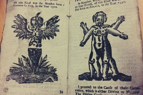 Manuale sul sesso pagine