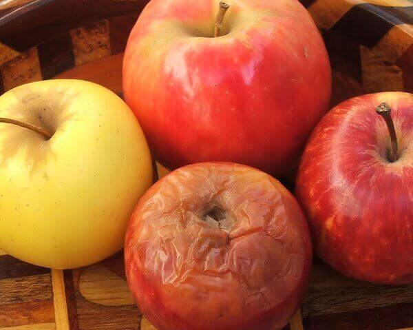 La teoria della mela marcia, cesto di mele