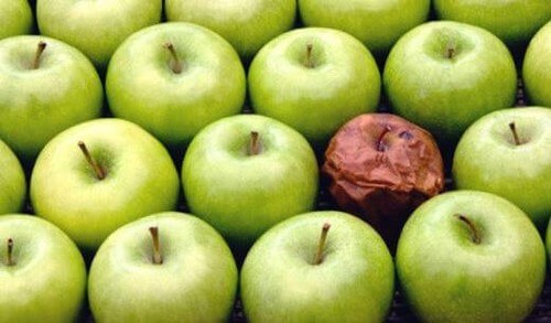 La teoria della mela marcia: i cattivi colleghi