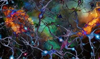 Acetilcarnitina e depressione, un legame importate