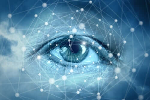 Vista e connessioni neuronali