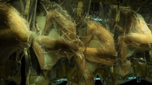 Corpo custodia della mente in Altered carbon