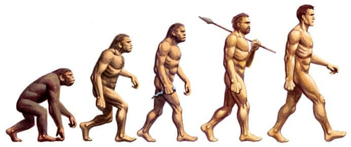 Evoluzione da scimmia a uomo
