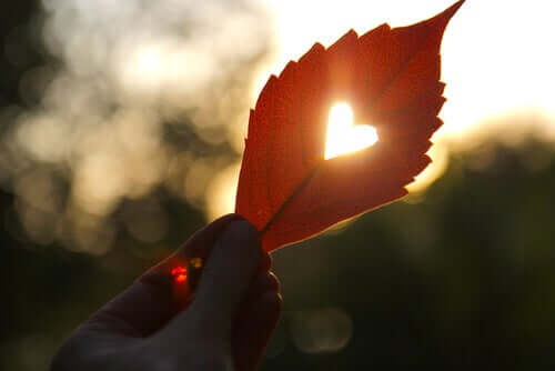 Foglia con cuore e come imparare a essere forti