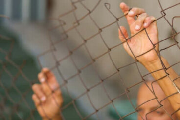 Metadeumanizzazione: sono un essere umano?