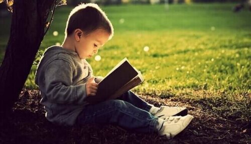 Bambino che legge sotto un albero
