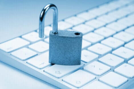 Internet e diritto alla intimità